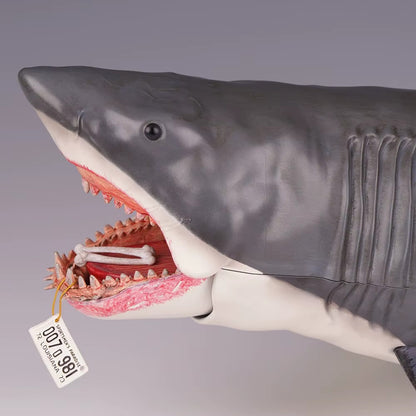 Neca - Les dents de la mer - Game of Jaws -2026 - Jaws 50e anniversaire du film