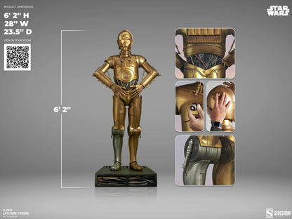 STAR WARS - C3PO - STATUE TAILLE RÉELLE 1/1 - 188cm - SIDESHOW