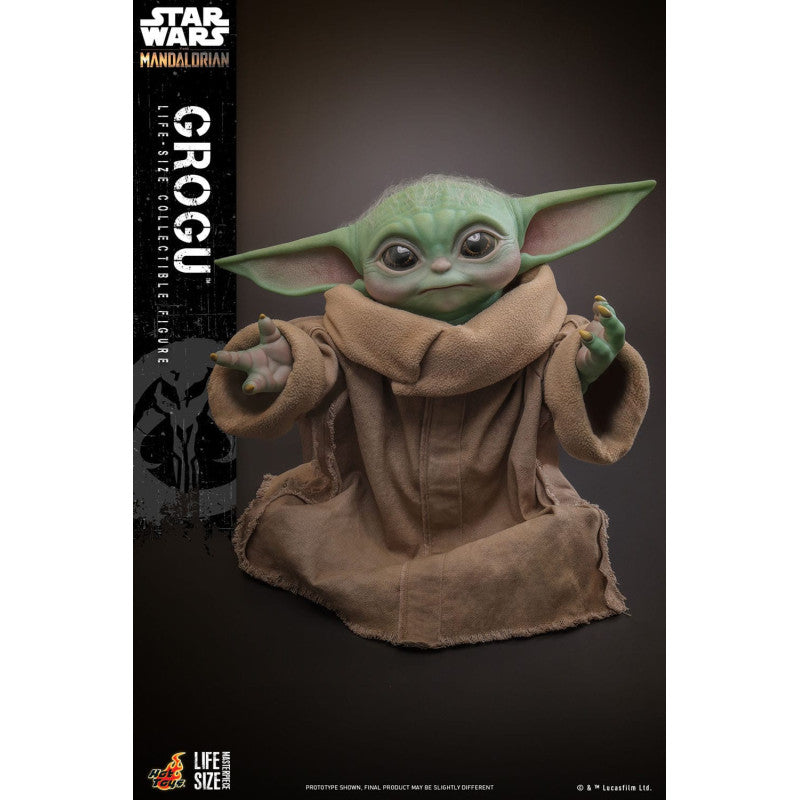 STAR WARS: GROGU , THE MANDALORIAN - FIGURINE 1/1 LIFE-SIZE - Hot Toys -MASTERPIECE